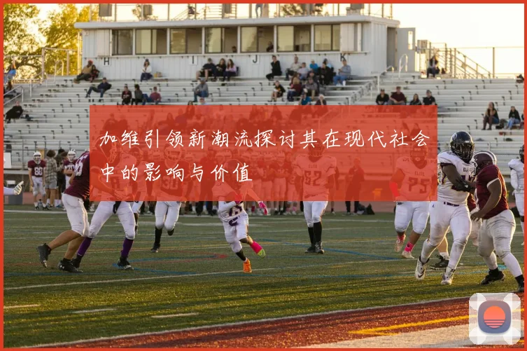 加维引领新潮流探讨其在现代社会中的影响与价值